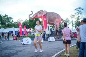 BIB: 
                            <button type="button" onclick="openModal(26551687)" class="btn btn-primary btn-sm float-right btn-popup" data-toggle="modal" data-target=".modal-high-quality">
                        <i class="fas fa-shopping-cart"></i> Add to Cart
                    </button>
                                            <button type="button" onclick="isThisMe(26551687, true)" class="btn btn-success btn-sm float-right btn-popup btn-isme hidden" data-toggle="tooltip" data-placement="bottom" title="นี่คือรูปของคุณใช่ไหม คลิกที่นี่เพื่อเอาเข้าอัลบั้ม">
                        <i class="fas fa-plus"></i> Add to album
                    </button>
                    <button type="button" onclick="isThisMe(26551687, false)" class="btn btn-warning btn-sm float-right btn-popup btn-isnotme hidden">
                        <i class="fas fa-ban"></i> Remove from album
                    </button>